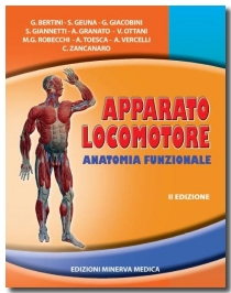 Apparato locomotore