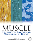 Muscle 2-Volume Set