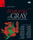 Anatomia del Gray - 41° Edizione