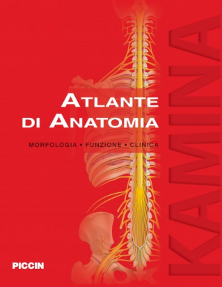 Atlante di anatomia