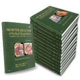 The Netter Collection of Medical Illustrations Complete Package, 2nd Edition 