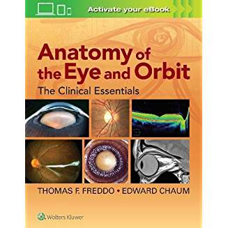 Anatomy of the Eye and Orbit 