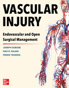 Vascular Injury: Endovascular And Open Surgical Management