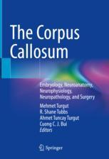 The Corpus Callosum