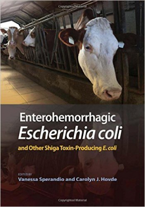 Enterohemorrhagic Escherichia Coli and Other Shiga Toxin-Producing E. Coli