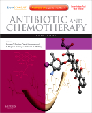 Antibiotic and Chemotherapy