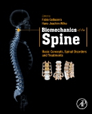 Biomechanics of the Spine 