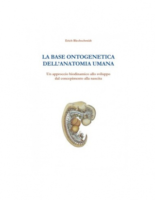 La base ontogenetica dell'anatomia umana