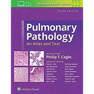 Pulmonary Pathology, 3e 