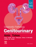 Diagnostic Pathology: Genitourinary, 3rd Edition