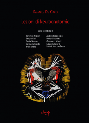 Lezioni di Neuroanatomia Seconda Edizione