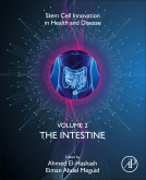 The Intestine