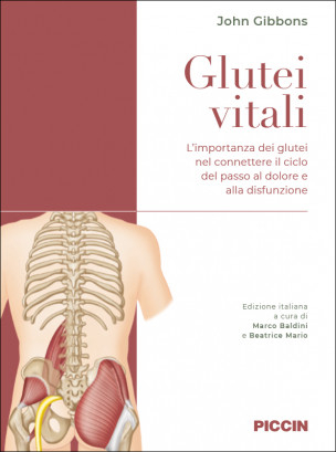 Glutei Vitali