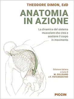 Anatomia in Azione